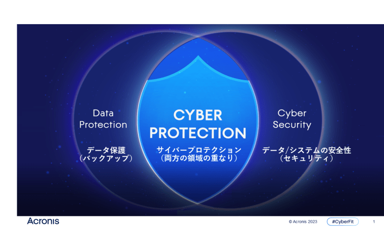 Acronis Cloud Storage Subscription License 250GB 3年間